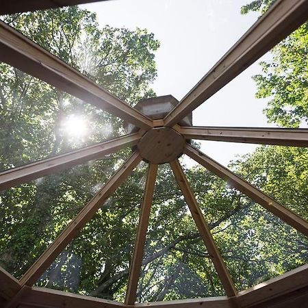 Romantic Treehouse With Hot Tub & Bbq Lodge Praze an Beeble 外观 照片